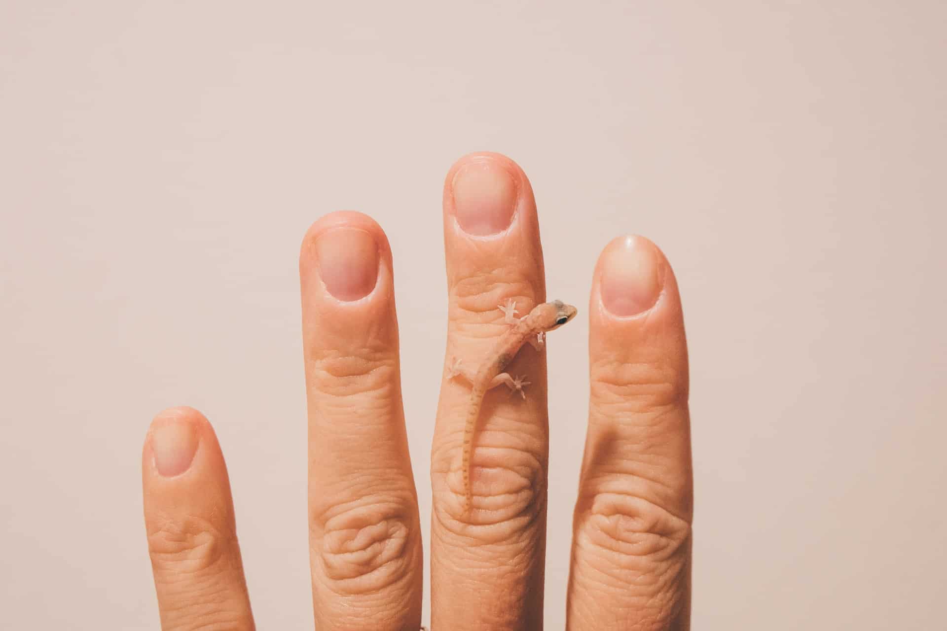 жена в костюм за плуване стои права на басейна