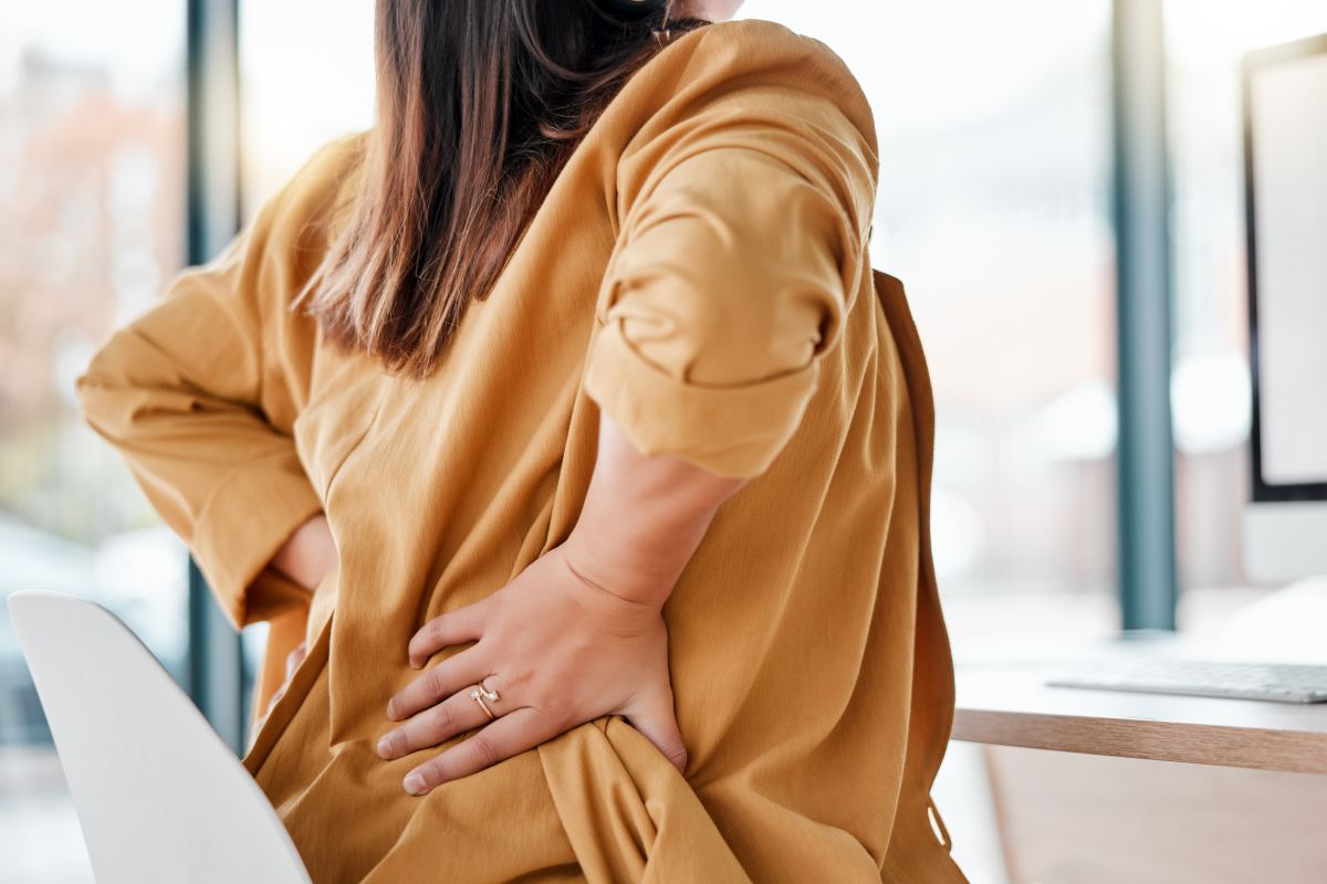 Макет на човешки гръбначен стълб